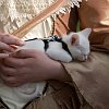 IMG_0044