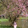 IMG_1822