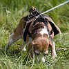 IMG_9854