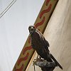 IMG_9912