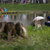 IMG_9980