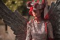 _MG_3556