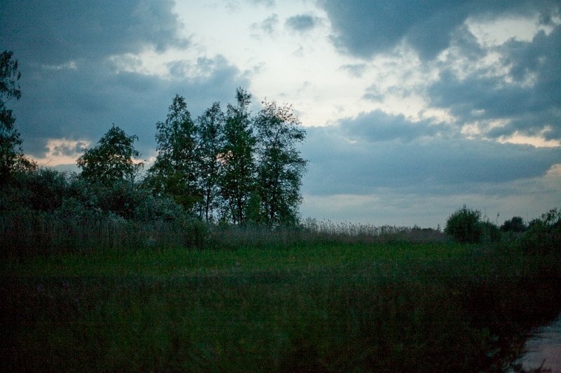 _MG_8008.jpg