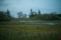 _MG_8005