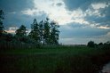 _MG_8008