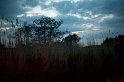 _MG_8020