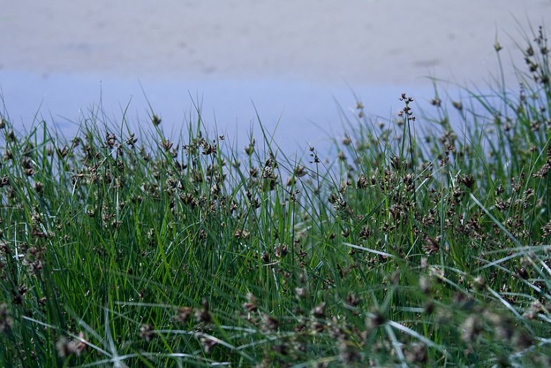_MG_5719.jpg