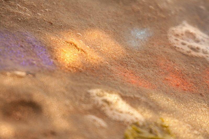 _MG_5751.jpg