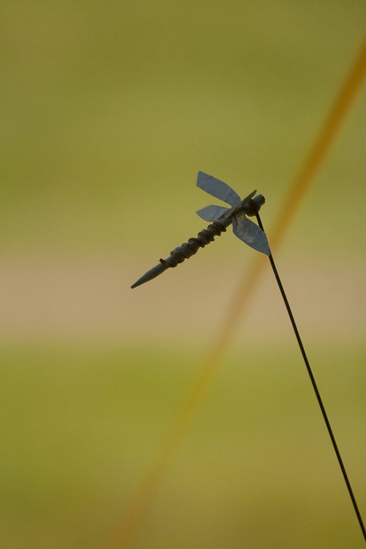 _MG_5777.jpg