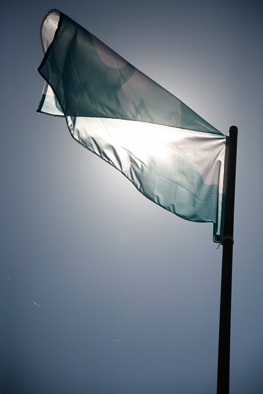 _MG_9008.jpg