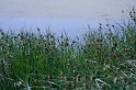 _MG_5719