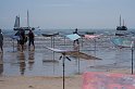 _MG_5726