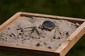 _MG_5789