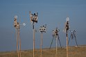 _MG_5882
