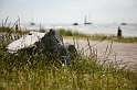 _MG_9018