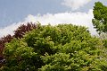 IMG_5423