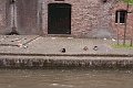 IMG_5478