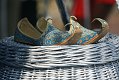 IMG_1721