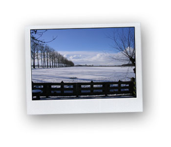 Landscape Haarzuilens